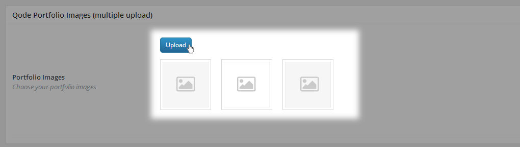 Upload Portfolio Images