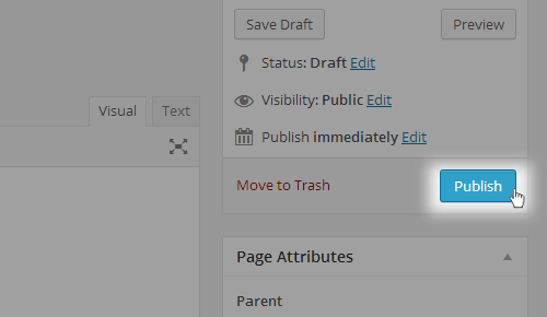Publish Button