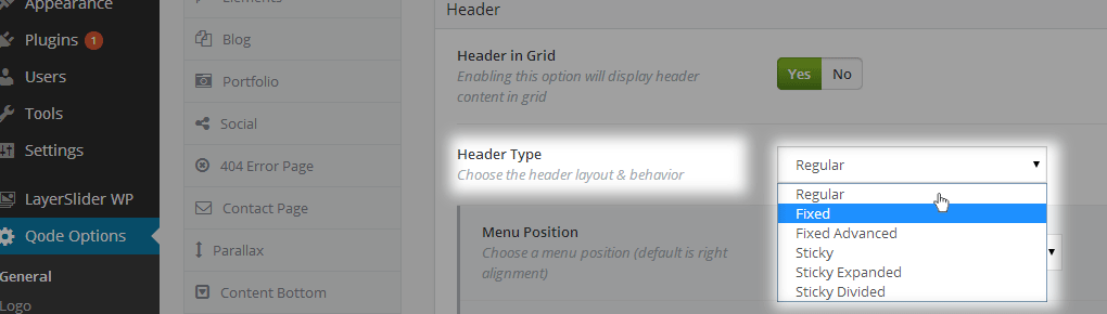 Qode Options - Header