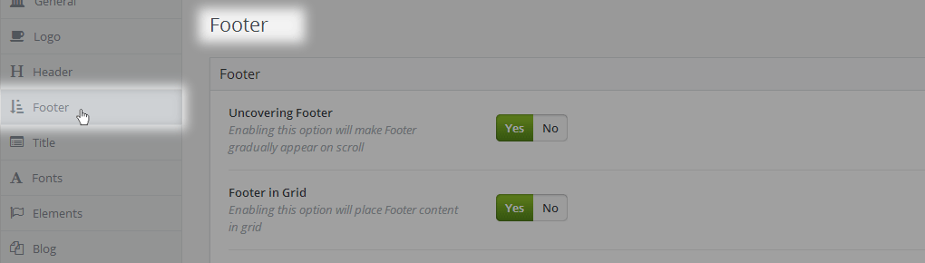 Footer Admin