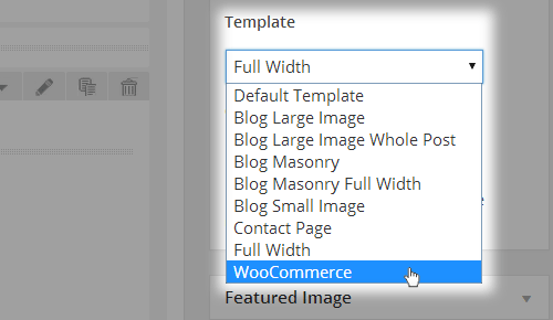 Choose Woo Page Template